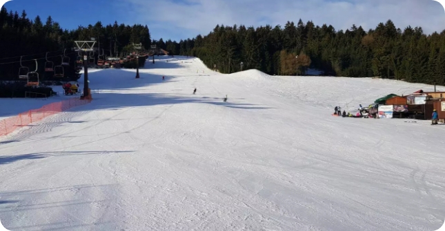 Harusák Nové Město na Moravě